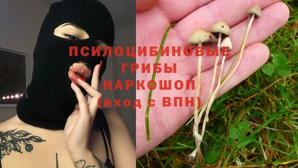 PSILOCYBIN Беломорск