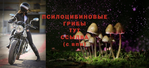 spice Мегион